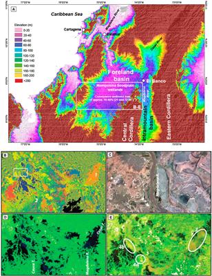 Drivers for the artisanal fisheries production in the Magdalena River